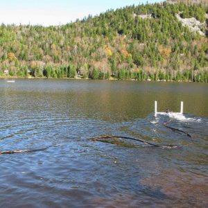 Lake water catchment